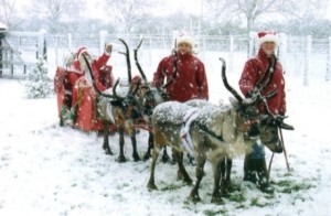 Jon Anton Presents...Animal Acts Available for Circus, Carnivals & Other Events.