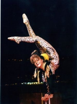 We have a number of Acrobats available, Both Single Acrobats & Acrobatic Troupes of between 2 & 7 members.