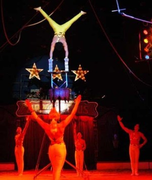 We have a number of Acrobats available, Both Single Acrobats & Acrobatic Troupes of between 2 & 7 members.